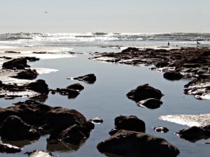Terramar Beach stones and ocean
