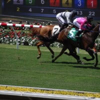 Horses racing at Del Mar
