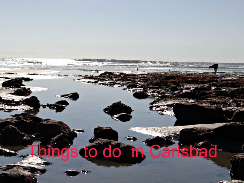 Things to do in Carlsbad