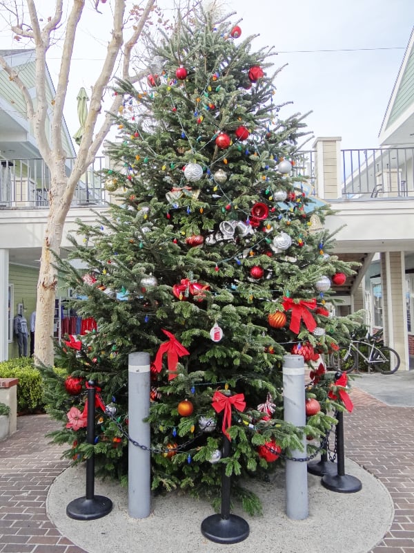 2021 Carlsbad Village Holiday Tree