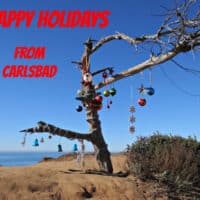 Merry Christmas from Carlsbad