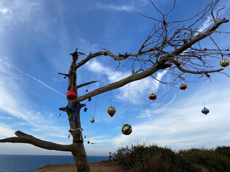 Old Holiday Tree in Carlsbad 2021