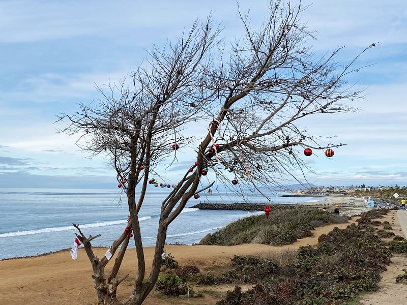Holiday Tree on the Bluff in Carlsbad CA