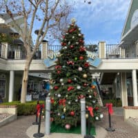 Carlsbad Holiday Tree 2022